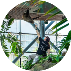 a sloth reaching for a piece of food that a woman is holding.